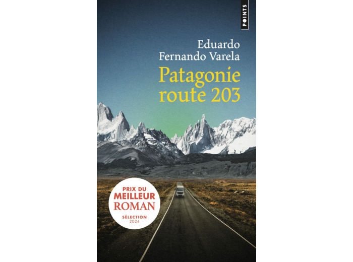 PATAGONIE ROUTE 203