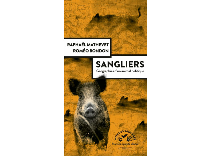 SANGLIERS, GEOGRAPHIES D'UN ANIMAL POLITIQUE