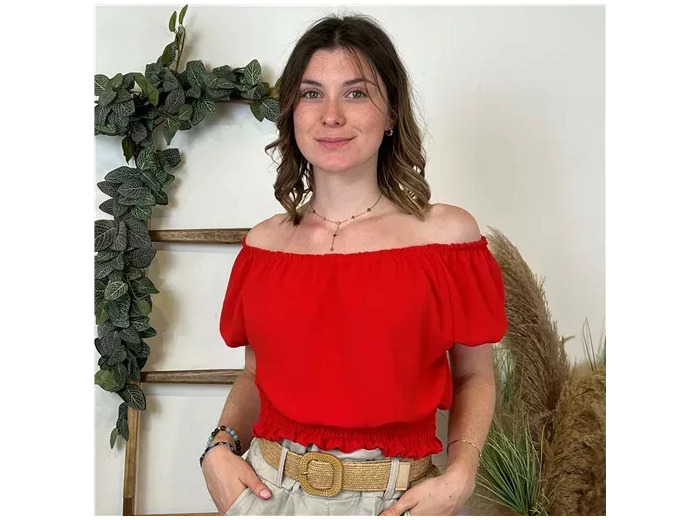 L170- Croptop uni (Tu) (rouge)