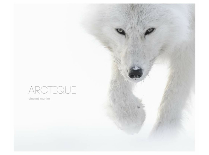 ARCTIQUE