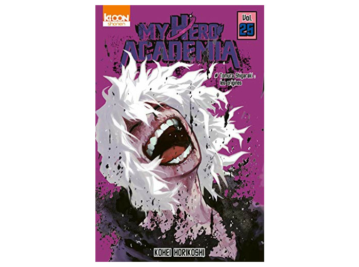 MY HERO ACADEMIA T25 - VOL25