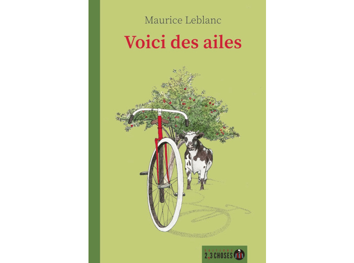 VOICI DES AILES