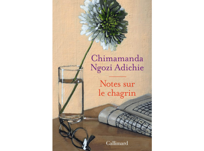 NOTES SUR LE CHAGRIN