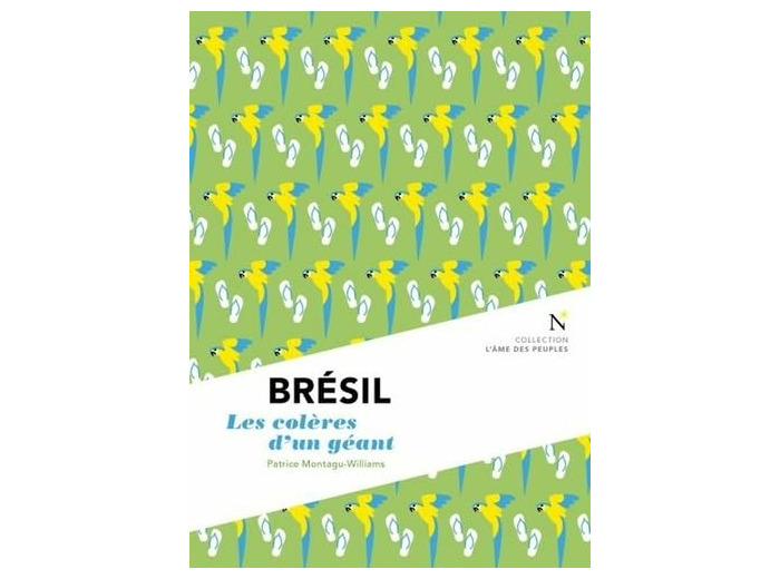 BRESIL - LES COLERES D'UN GEANT