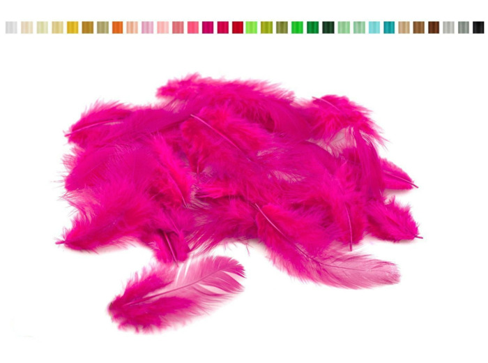 Plumes 6-10 cm fuchsia 183