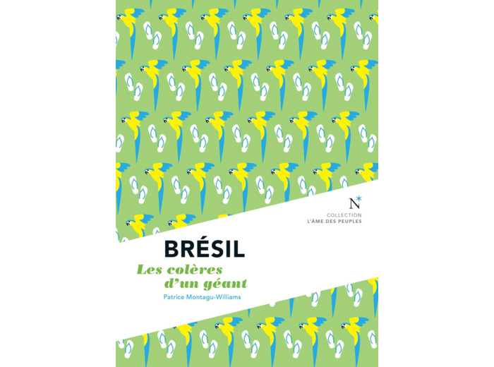 BRESIL - LES COLERES D'UN GEANT
