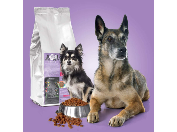 Croquettes Vetsaveur chien senior 11kg