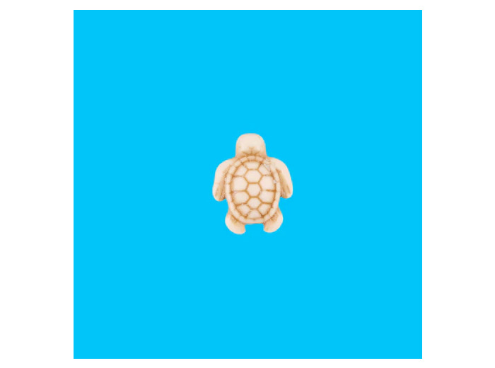 Charms - Tortue blanche - De Nada Paris