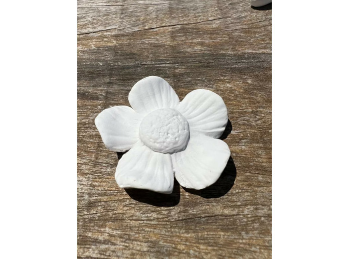 Fleur à parfumer