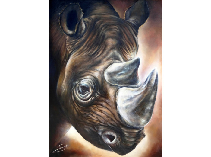 Rhinocéros noir