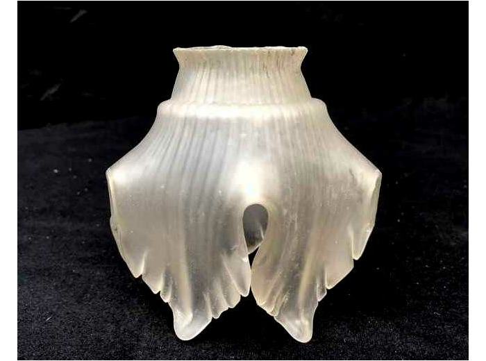 Tulipe feuille de vigne basse