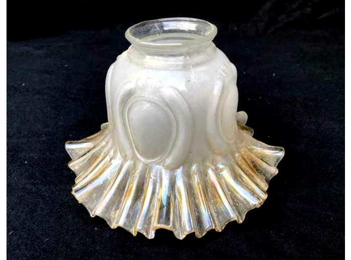 Tulipe bord or
