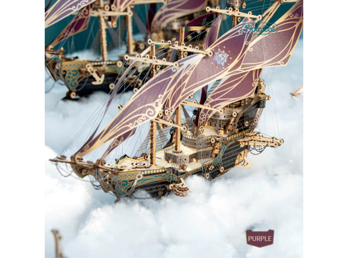 Future Corsair Ship