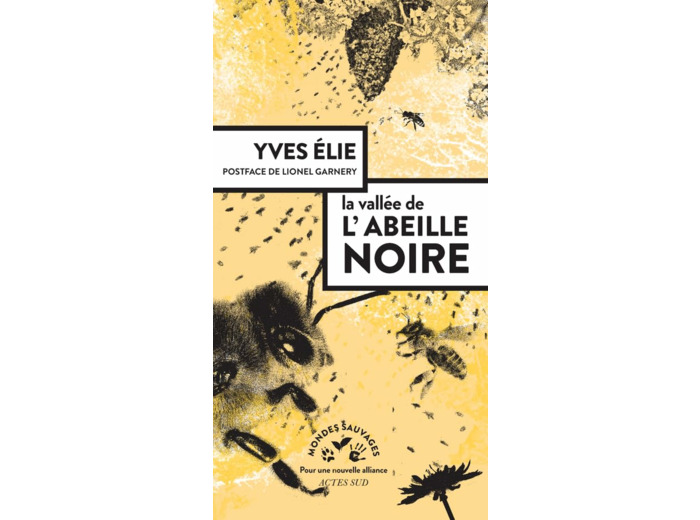 LA VALLEE DE L'ABEILLE NOIRE