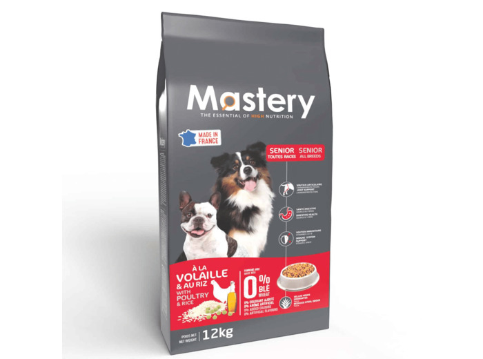 Mastery chien senior