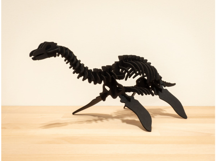 Plesiosaurus