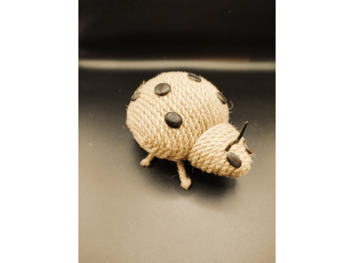 Coccinelle
