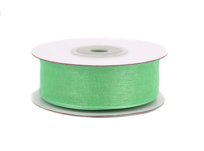Ruban organza 25 mm de large bobine de 25 metres de long Mint