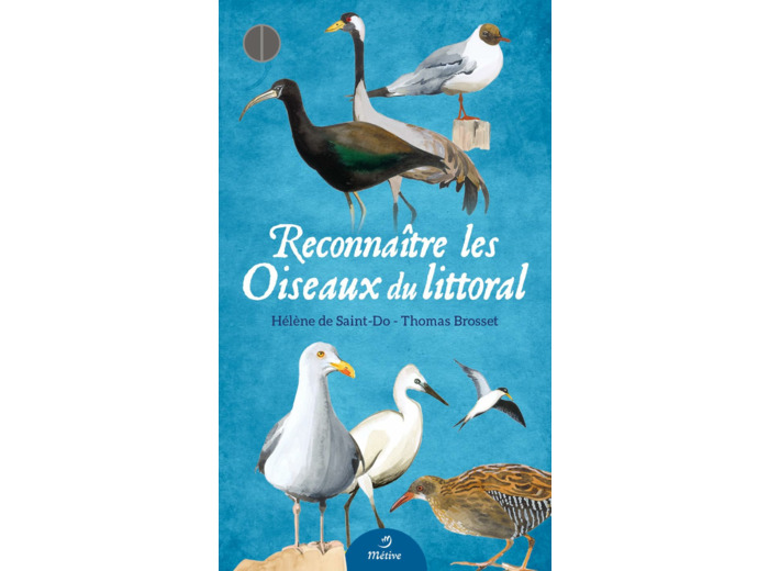 RECONNAITRE LES OISEAUX DU LITTORAL