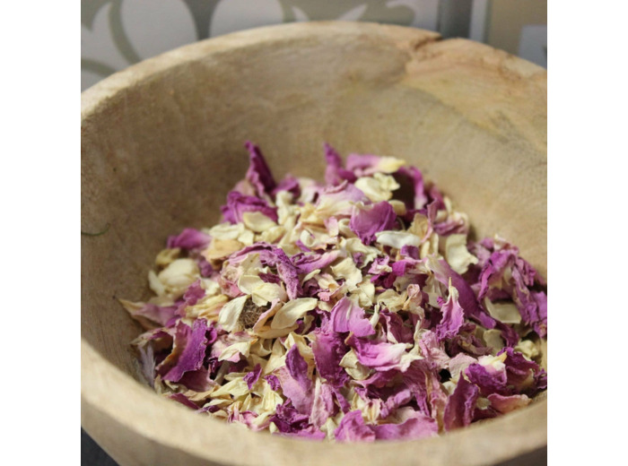 Assemblage Accord parfait de saison