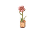 Rose en Bois
