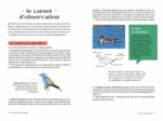 LES CARNETS DU SCARABEE - OISEAUX