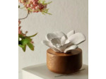 Diffuseur Orchidée