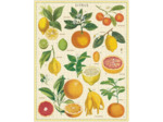 Cavallini 1000 Piece Puzzle, Citrus