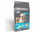 Mastery chien canard