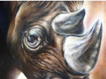 Rhinocéros noir