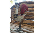 Coq recyclé