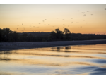 Carte cadeau : Croisière coucher de soleil