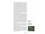 EQUATEUR - LES CLES POUR BIEN VOYAGER - GALAPAGOS