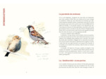 LES OISEAUX DE NOS JARDINS & LEUR VIE SECRETE