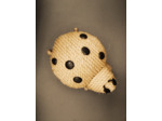 Coccinelle