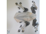 Grenouille Grise en 3D - 33x30cm