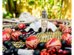 Eau de Parfum Naturelle WAKA MADAGASCAR 11 mL - FiiLiT Parfum du Voyage