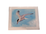 Tableau reproduction aquarelle