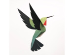Colibri à Queue Large