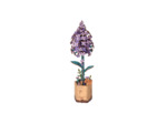 Lilas en Bois