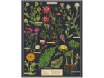 Cavallini 1000 Piece Puzzle, Herbarium