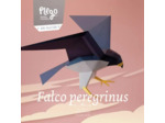 Faucon Pélerin