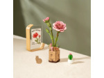 Oeillets Rose en Bois