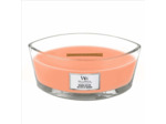WoodWick Ellipse Nectar de manuka