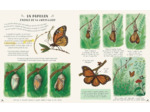 LES SECRETS DE LA NATURE