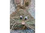 déco Lapin