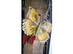 Papillon Tuteur