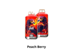 Puff 28k - JNR Falcon X + - Peach Berry