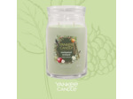 Yankee Candle Bougie parfumée dans un verre (grande) - Bougie signature « Collection automne 2025 » - Durée de combustion : jusqu'à 90 heures