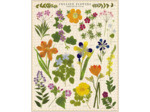 Cavallini Puzzle de 1000 pièces, fleurs pressées (PZL/PF)